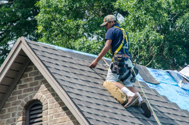 Roof Gutter Cleaning in Shafter, CA